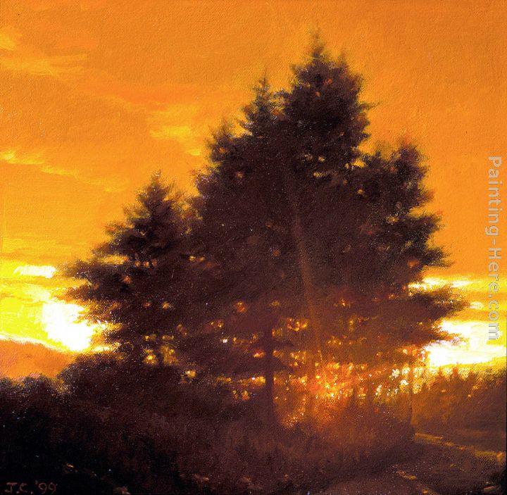 Jacob Collins Sunset Tree